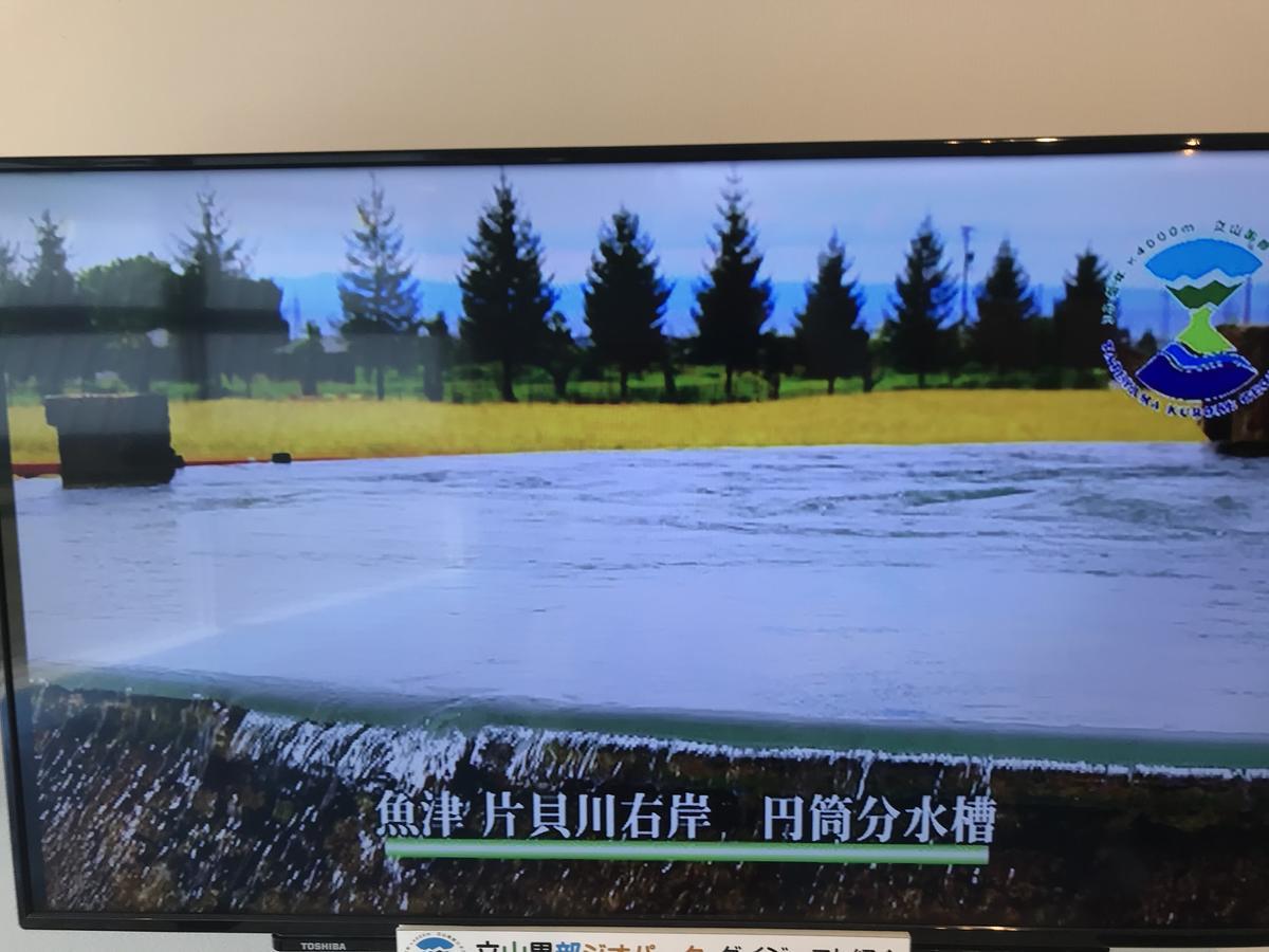 Kizuna No Ie Uozu Экстерьер фото